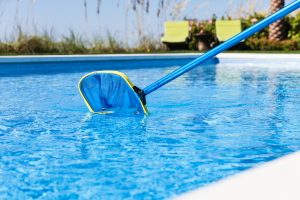 Net in Swimming Pool