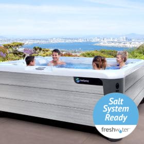 Four people in Highlife collection hot tub model