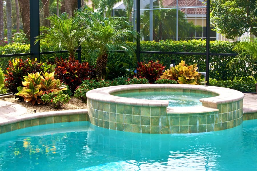 outdoor hot tub attached to a pool in a screened lanai surrounded by vibrant colored plants